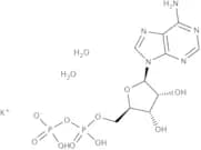 Adenosine 5''-diphosphate potassium salt hydrate