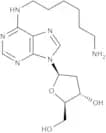 N6-(6-Aminohexyl)-2''-deoxyadenosine