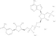 b-Nicotinamide-adenine dinucleotide phosphate tetrasodium salt, reduced