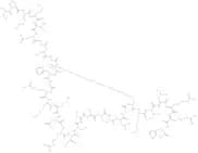 Brain Natriuretic Peptide-32 human