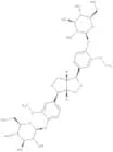 Pinoresinol diglucoside