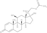 Prednisolone-21-acetate