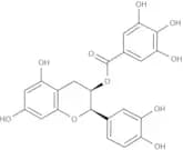 Epicatechin gallate
