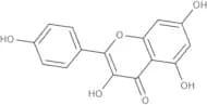 Kaempferol