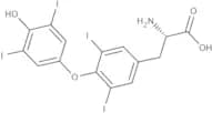 L-Thyroxine