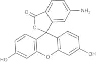 6-Aminofluorescein