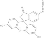 Fluorescein isothiocyanate isomer I, 97.5%