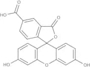 5-Carboxyfluorescein