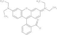 Rhodamine B base