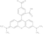 5-Carboxytetramethylrhodamine