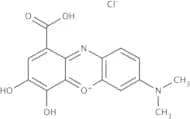 Gallocyanine