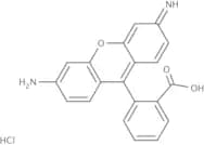 Rhodamine 110 chloride