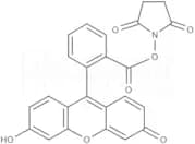 5(6)-Carboxyfluorescein N-hydroxysuccinimide ester