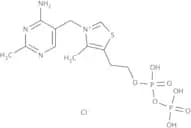Thiamine pyrophosphate