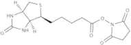 (+)-Biotin N-hydroxysuccinimide ester