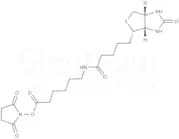 Biotin-X-NHS