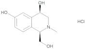 (1R,4R)-4,6-Dihydroxy-1-(hydroxymethyl)-N-methyl-1,2,3,4-tetrahydroisoquinoline Hydrochloride