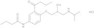 N-[3-Butanoyl-4-[(2RS)-2-hydroxy-3-[(1-methylethyl)amino]propoxy]phenyl]butanamide Hydrochloride