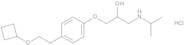 1-[4-(2-Cyclobutoxyethyl)phenoxy]-3-(isopropylamino)propan-2-ol Hydrochloride