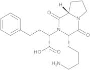(2S)-2-[(3S,8aS)-3-(4-Aminobutyl)-1,4-dioxohexahydropyrrolo[1,2-a]pyrazin-2(1H)-yl]-4-phenylbutano…