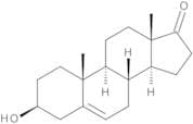 Prasterone