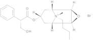 Hyoscine Butylbromide