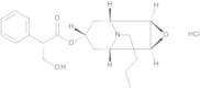 (1R,2R,4S,5S,7s)-9-Butyl-3-oxa-9-azatricyclo[3.3.1.02,4]nonan-7-yl (2S)-3-Hydroxy-2-phenylpropanoa…