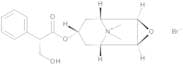 (1R,2R,4S,5S,7s)-7-[[(2S)-3-Hydroxy-2-phenylpropanoyl]oxy]-9,9-dimethyl-3-oxa-9-azoniatricyclo[3.3…