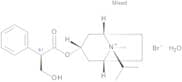 Ipratropium Bromide Monohydrate