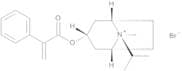 (1R,3r,5S,8r)-8-Methyl-8-(1-methylethyl)-3-[(2-phenylpropenoyl)oxy]-8-azoniabicyclo[3.2.1]octane B…