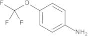 4-Trifluoromethoxyaniline