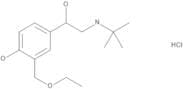 2-[(1,1-Dimethylethyl)amino]-1-[4-hydroxy-3-(ethoxymethyl)phenyl]ethanol Hydrochloride