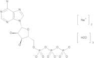 Adenosine 5'-Triphosphate Disodium Salt Trihydrate