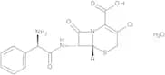 Cefaclor Monohydrate