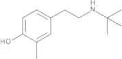 4-[2-[(1,1-Dimethylethyl)amino]ethyl]-2-methylphenol