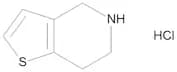 4,5,6,7-Tetrahydrothieno[3,2-c]pyridine Hydrochloride