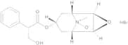 Hyoscine N-Oxide Hydrobromide