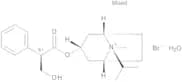 Ipratropium Bromide Monohydrate