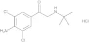 1-(4-Amino-3,5-dichlorophenyl)-2-[(1,1-dimethylethyl)amino]ethanone Hydrochloride