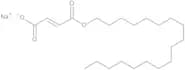 Sodium Stearyl Fumarate