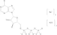 Adenosine 5'-Triphosphate Disodium Salt Trihydrate