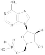 Vidarabine Phosphate