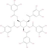1,2,3,4,6-Pentagalloylglucose