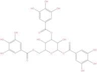1,3,6-Trigalloylglucose