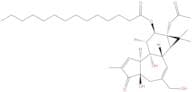 Phorbol-12-Myristate-13-Acetate