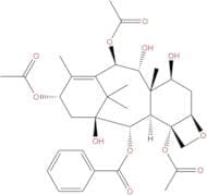 13-Acetyl-9-dihydrobaccatin III