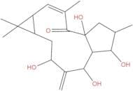 7-β-Hydroxylathyrol