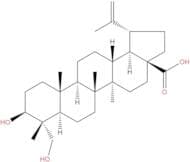 23-Hydroxybetulinic acid