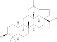 Betulinic acid