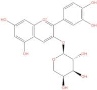 Cyanidin 3-Arabinoside